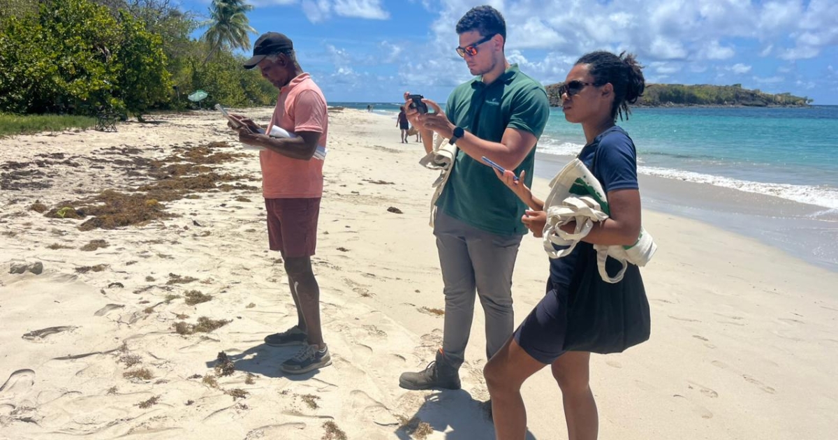     Pâques : l'ONF et ses partenaires sensibilisent les campeurs de Sainte-Anne pour protéger le littoral

