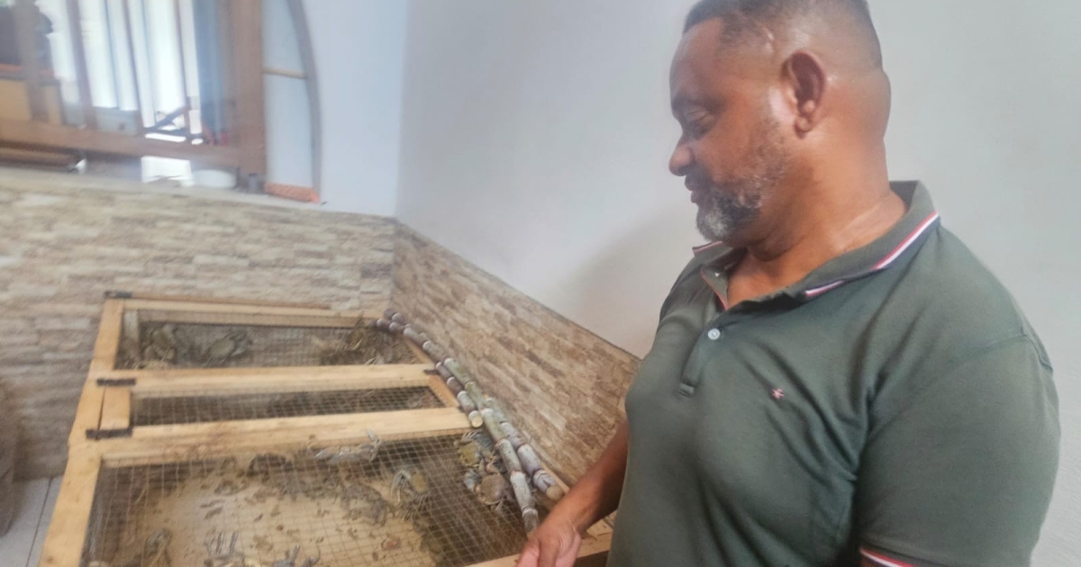     Chasse, engraissage et vente... Le rituel de Patrick Ledoux pour le traditionnel crabe de Pâques

