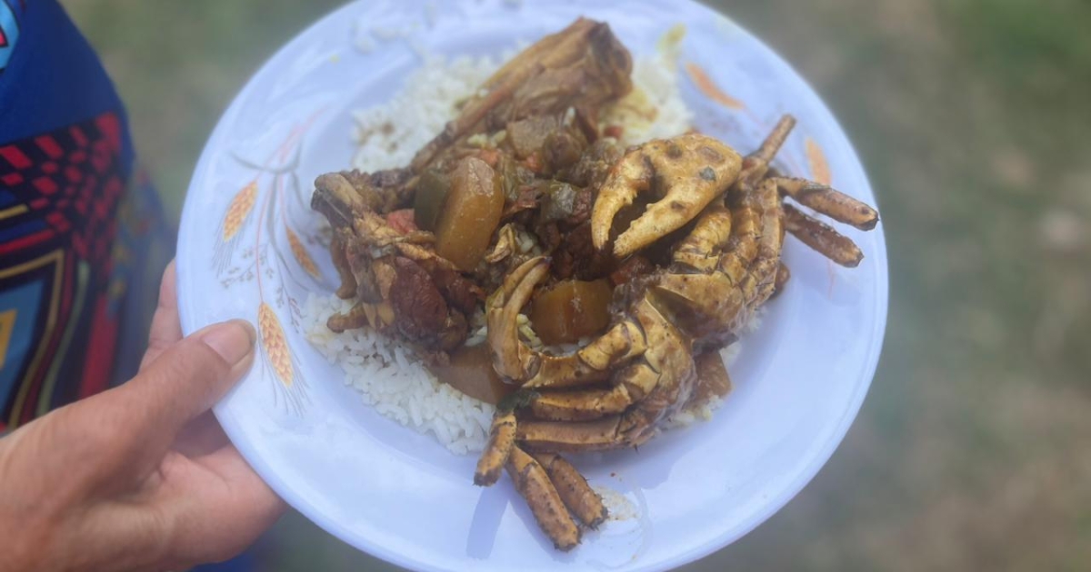     Case-Pilote : la tradition du Matoutou célébrée à Fond Bourlet avec « Batterie en action »

