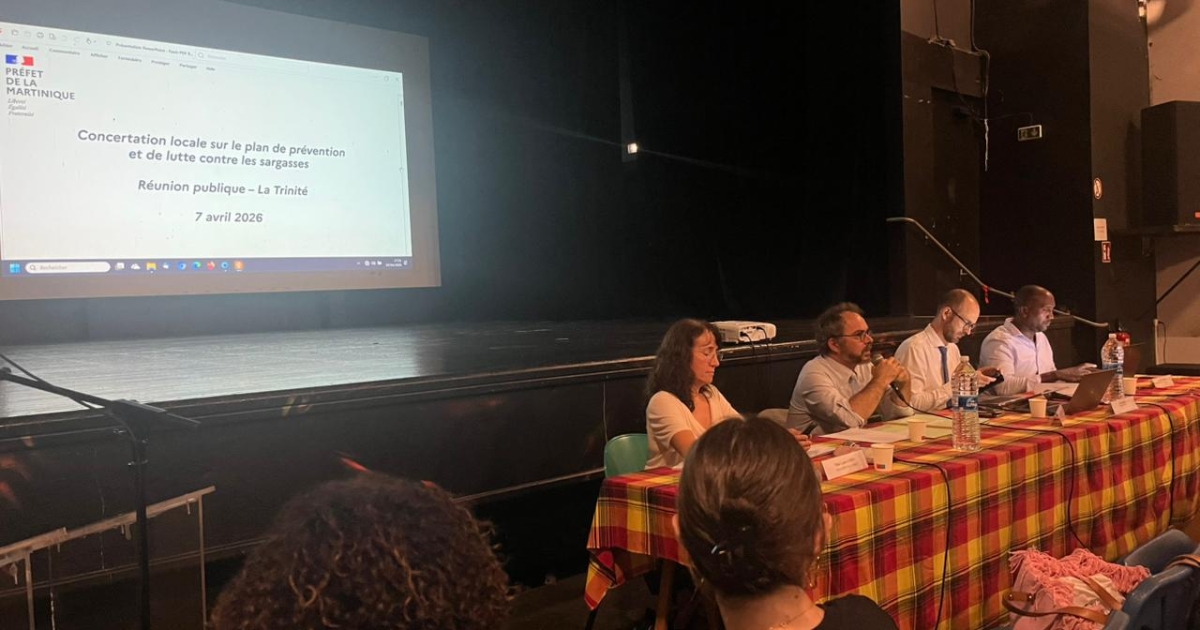     Les acteurs locaux concertés pour l'élaboration du futur plan Sargasses 3 à Trinité

