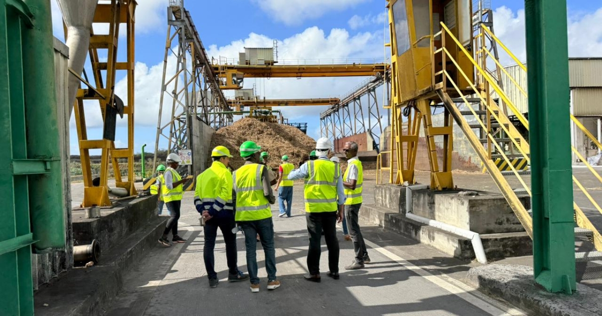    L’usine Gardel décroche la première certification bio pour le sucre de canne de Guadeloupe

