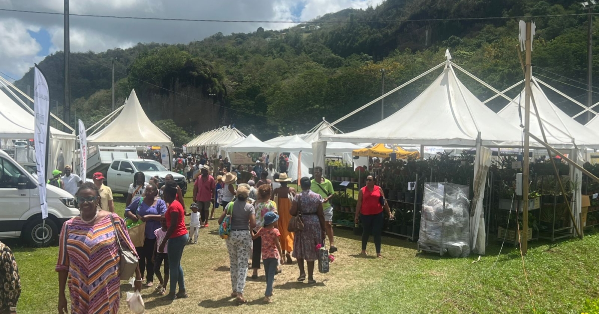     30e édition de la foire agricole de Rivière-Pilote : plus de 400 exposants célèbrent le terroir martiniquais

