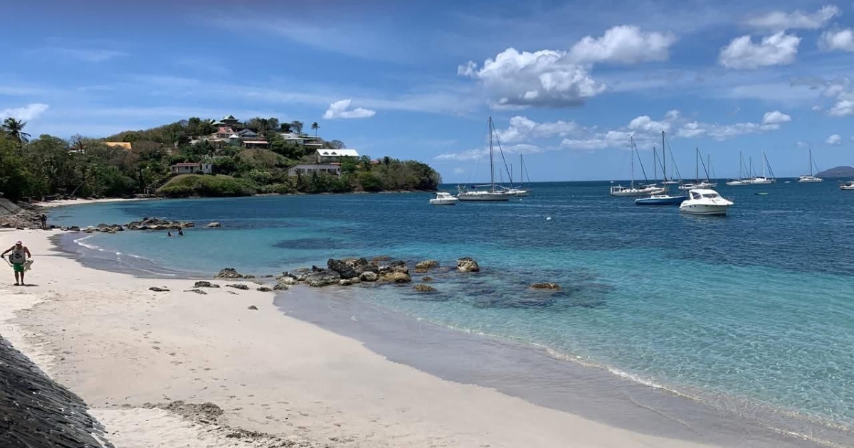     Trois-Îlets : baignade interdite à l’Anse Mitan et à l’Anse à l’Âne pour forte présence de méduses

