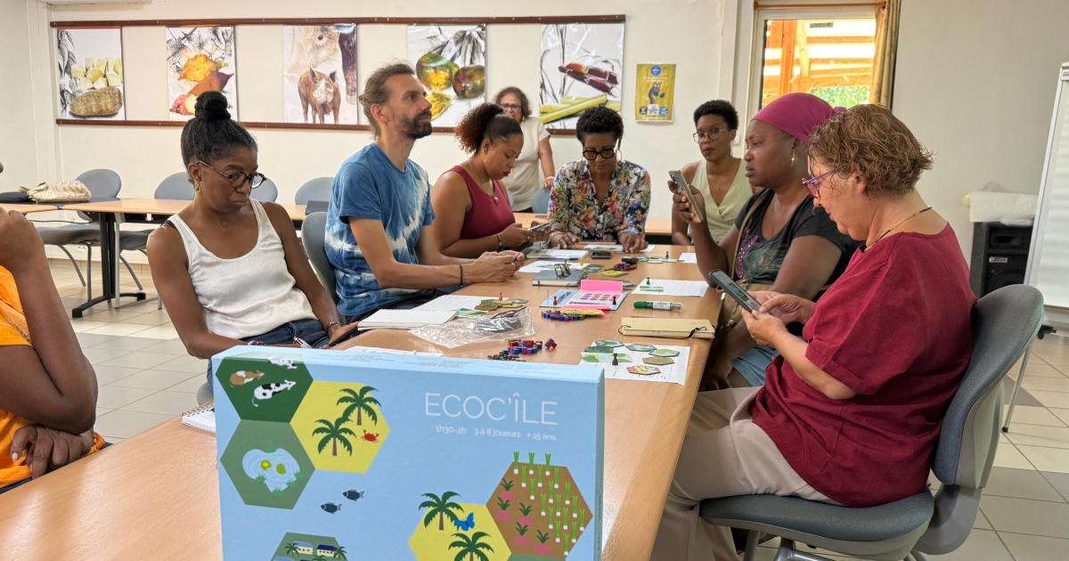     L'INRAE forme les professionnels au "jeu sérieux" Écoc'île pour sensibiliser à l'environnement

