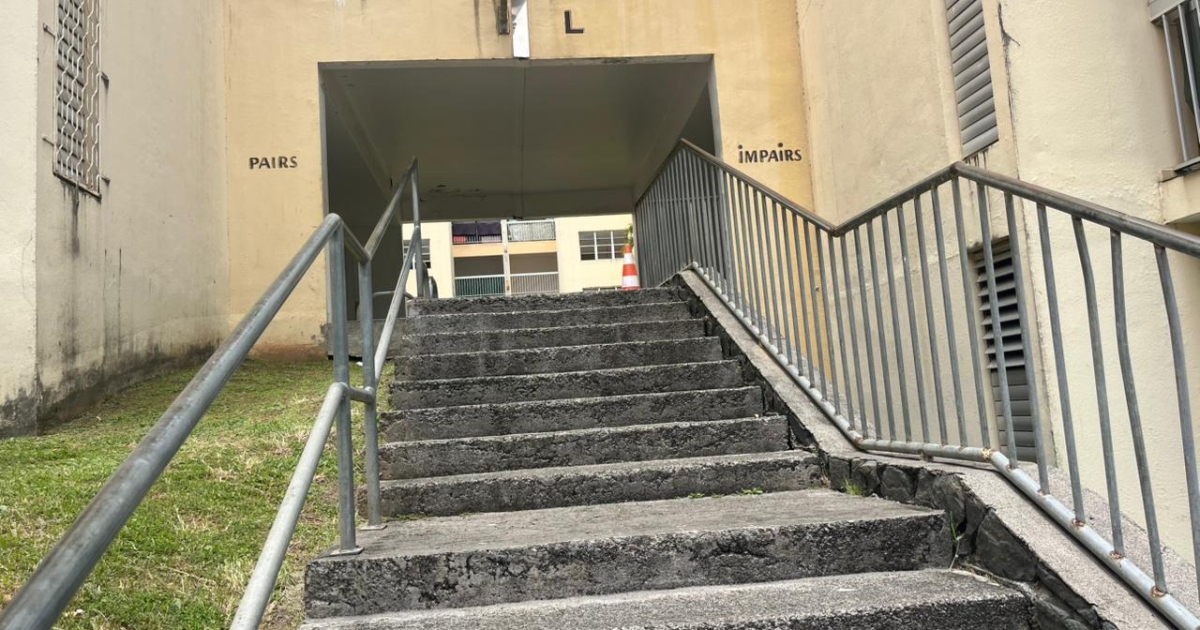     "C'était un carnage" : 5 à 6 individus casqués et armés aperçus par des témoins lors de la fusillade à la Tocade

