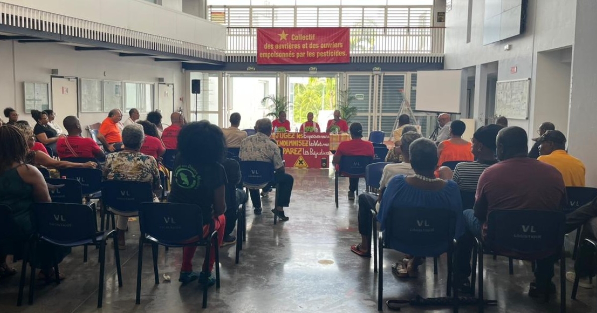     Chlordécone : le collectif des ouvriers empoisonnés par les pesticides affiche ses priorités

