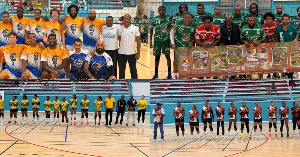     [EN IMAGES] Finales aller de Volley-Ball : le Rayon et le MUC prennent une option


