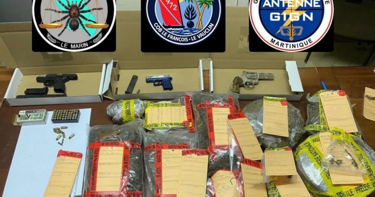     5 kilos d'herbe de cannabis et trois armes à feu saisies au François

