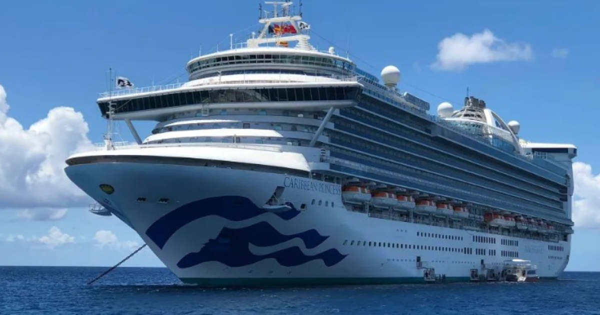    Epidémie à bord du Caribbean Princess : 115 passagers contaminés par le Norovirus en pleine mer

