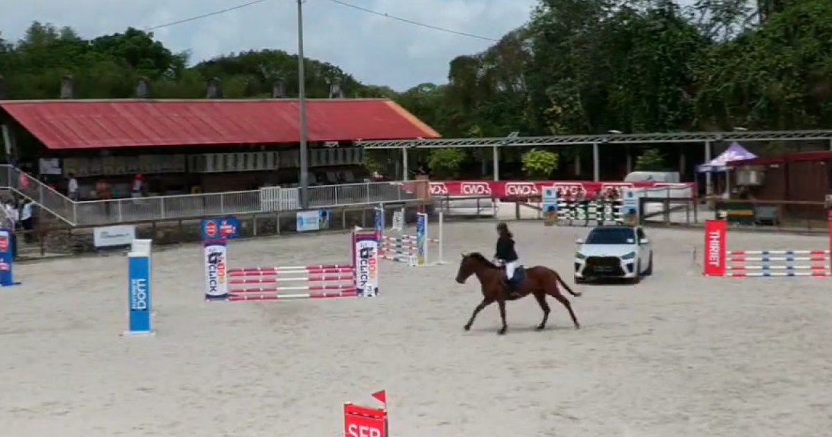     Le centre équestre La Gourmette accueille la 2e édition de la Caribbean Rotary Horse Cup à Fort-de-France

