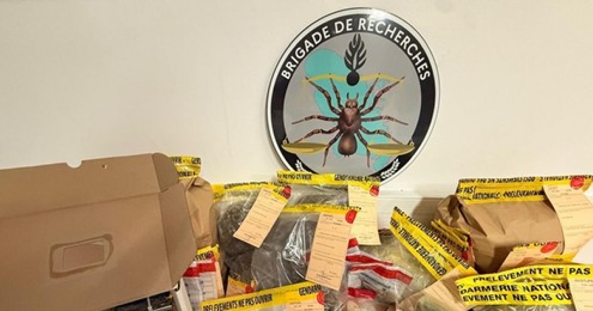     Quatre passeurs en détention provisoire après une saisie de yoles chargées de drogue à Rivière-Pilote

