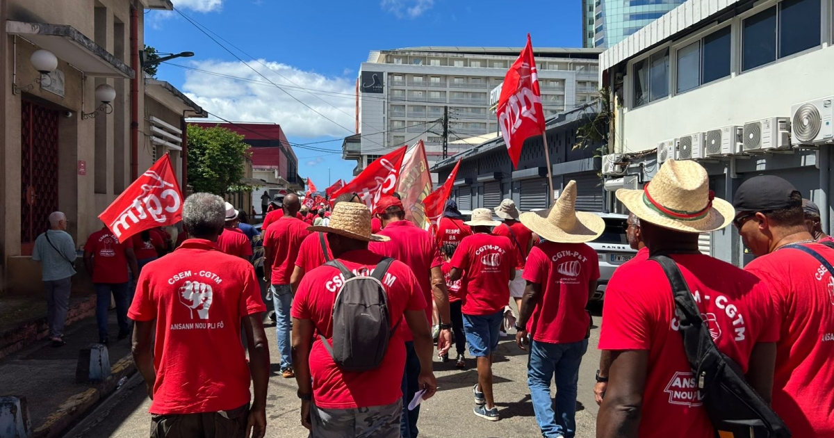     1er mai : un millier de manifestants et des syndicats défilent contre la vie chère à Fort-de-France

