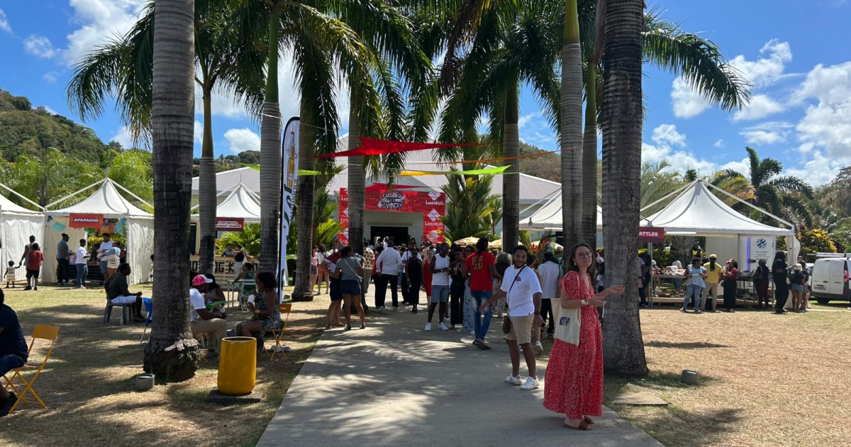     La "Caraïbe Street Food Vibes" met à l’honneur la street food martiniquaise 

