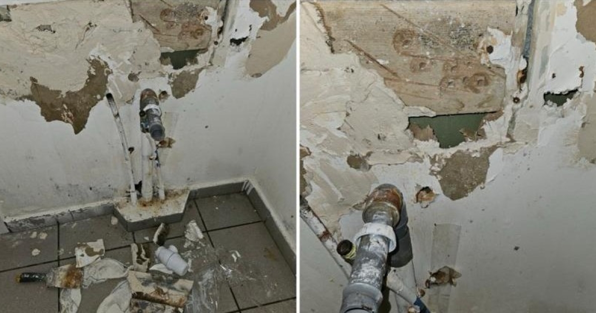     [TÉMOIGNAGE] Lydia victime d’un logement infecté par les rats et l’humidité à Petit-Bourg

