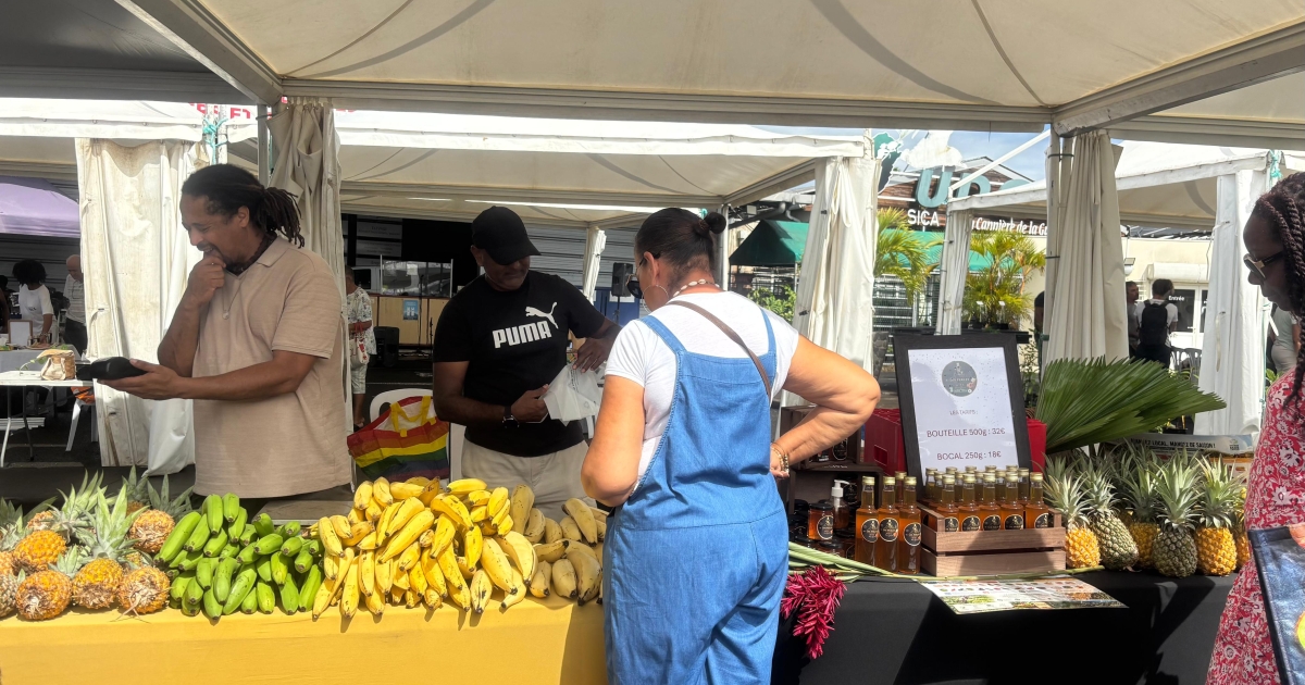     Le Marché Bio du nord Basse-Terre valorise une agriculture de proximité et plus durable 

