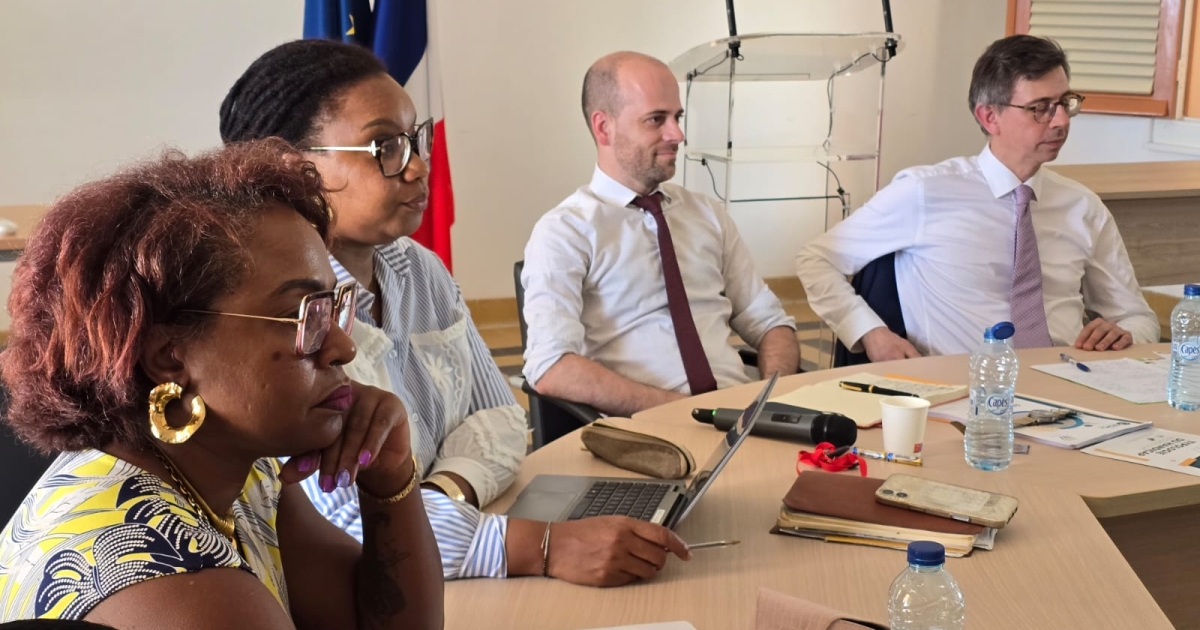     Handicap : la préfecture organise une réunion pour faire le point sur les besoins en Guadeloupe 

