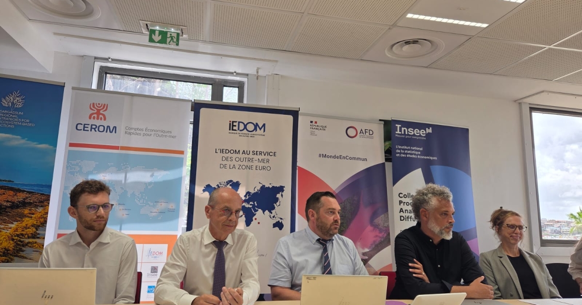     L’INSEE et l’IEDOM ont produit une étude sur les enjeux économiques liés aux algues sargasses 

