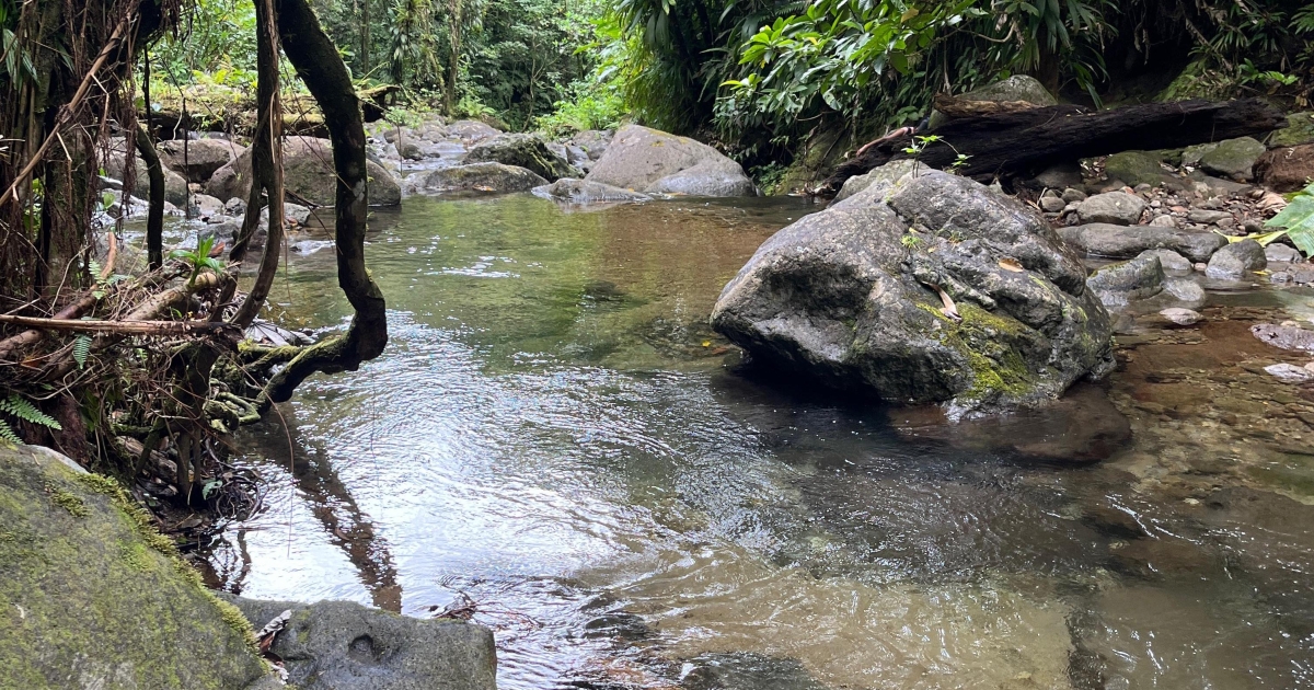 De nouvelles coupures d’eau entre samedi et dimanche à Schoelcher