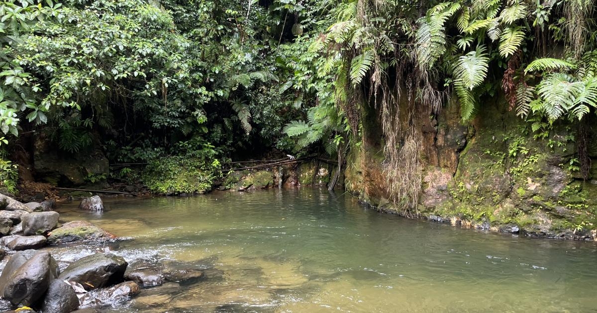 La Martinique placée en alerte sécheresse, le niveau 2 de la vigilance, dès ce jeudi