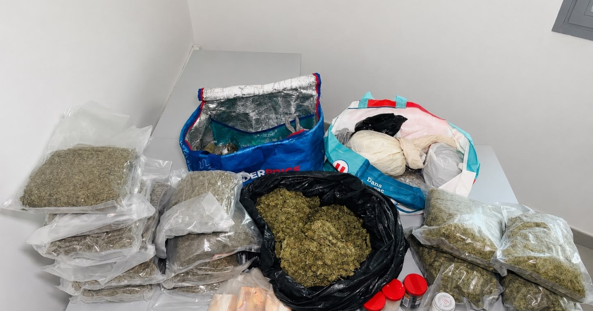     Basse-Terre : 10 kilos de drogues et un individu condamné

