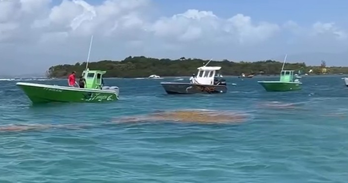     Fin du blocage au chenal de Pointe-à-Pitre : « Il va falloir qu'ils nous entendent », préviennent les pêcheurs

