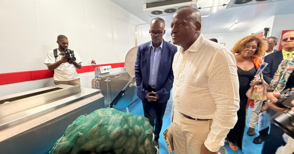     Anse-Bertrand : la CANGT inaugure l'atelier de transformation agroalimentaire "Lizin Santral"

