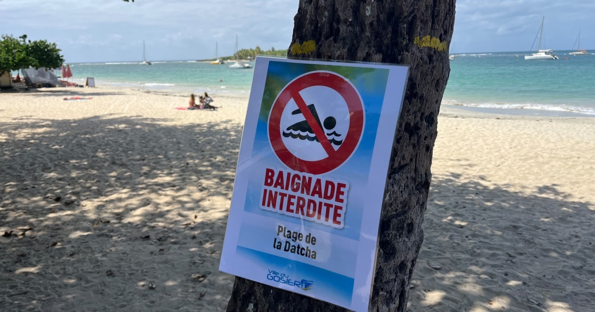     Baignade interdite au Gosier : quelles conséquences pour les professionnels de la mer et du tourisme ?

