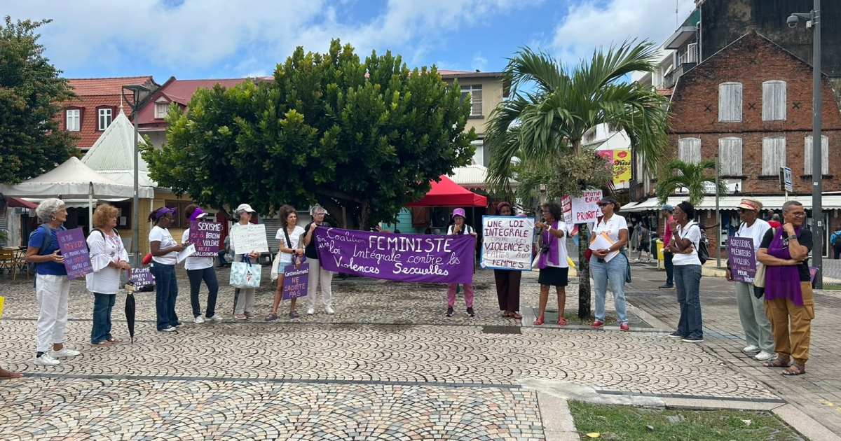     Affaire Lyhanna : une manifestation féministe pour dénoncer le traitement judiciaire des violences sur mineures

