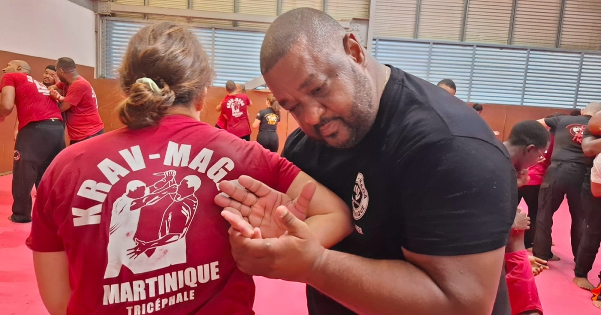     Plus de 200 personnes présentes pour la formation de krav maga à Fort-de-France

