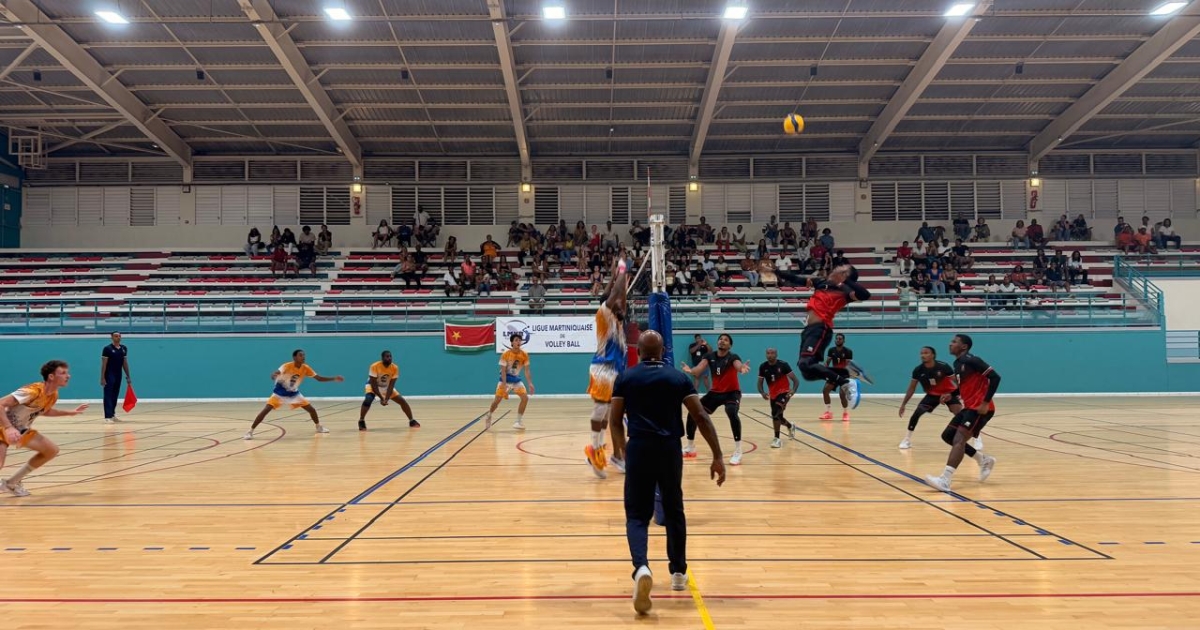     Volley-Ball, Coupe Antilles : la Guadeloupe fait carton plein chez les femmes et chez les hommes 

