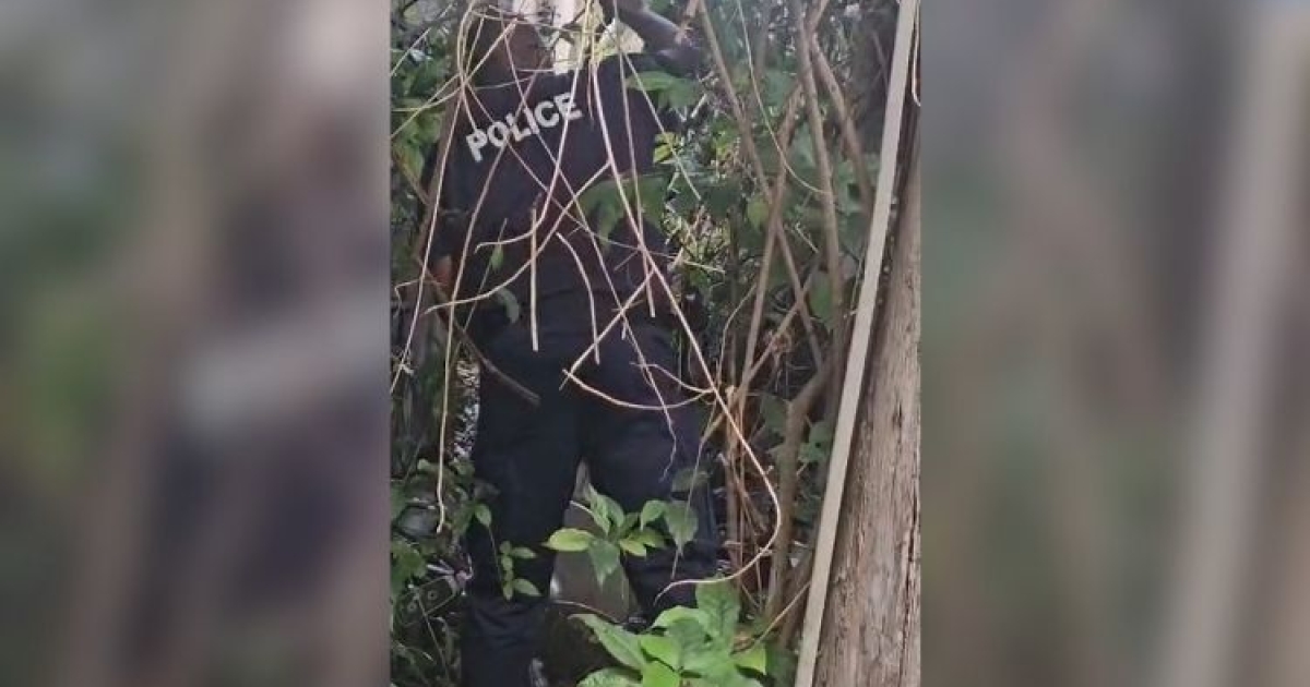     Un cadavre découvert sous une maison à Trénelle

