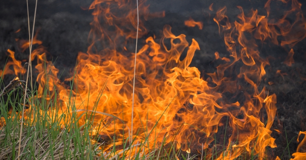     Attisé par le vent, un feu de broussailles ravage 2 hectares à Sainte-Anne avant d'être maîtrisé

