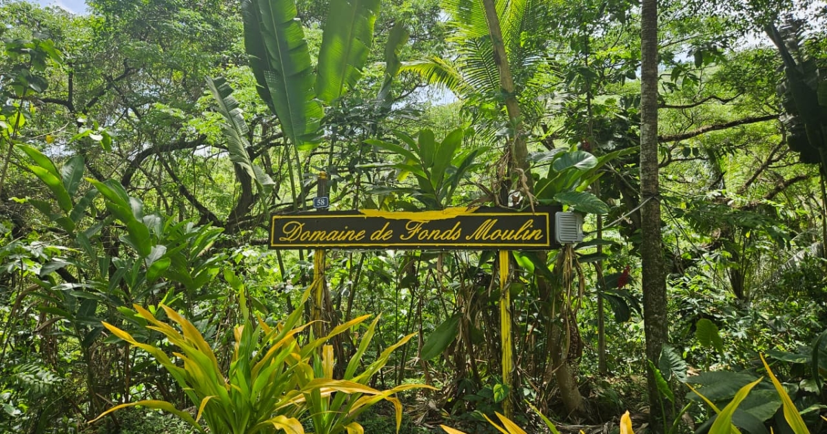     [Série - Trésors en commune] : Le domaine de Fonds Moulin : le paradis de verdure 

