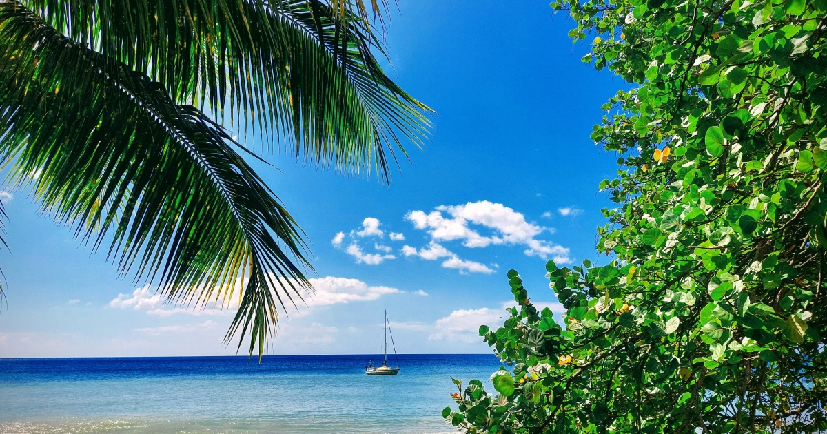     Anse du Carbet : une plage incontournable à découvrir en Martinique

