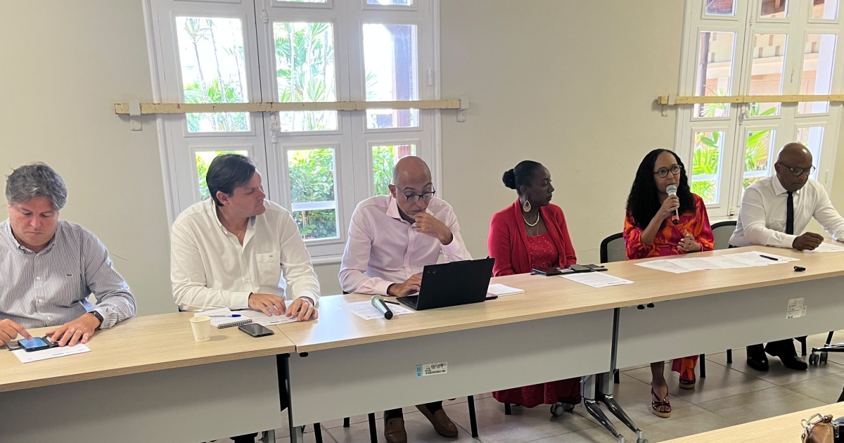     Accord-cadre sur l'évolution statutaire de la Martinique : le monde économique tape du poing sur la table

