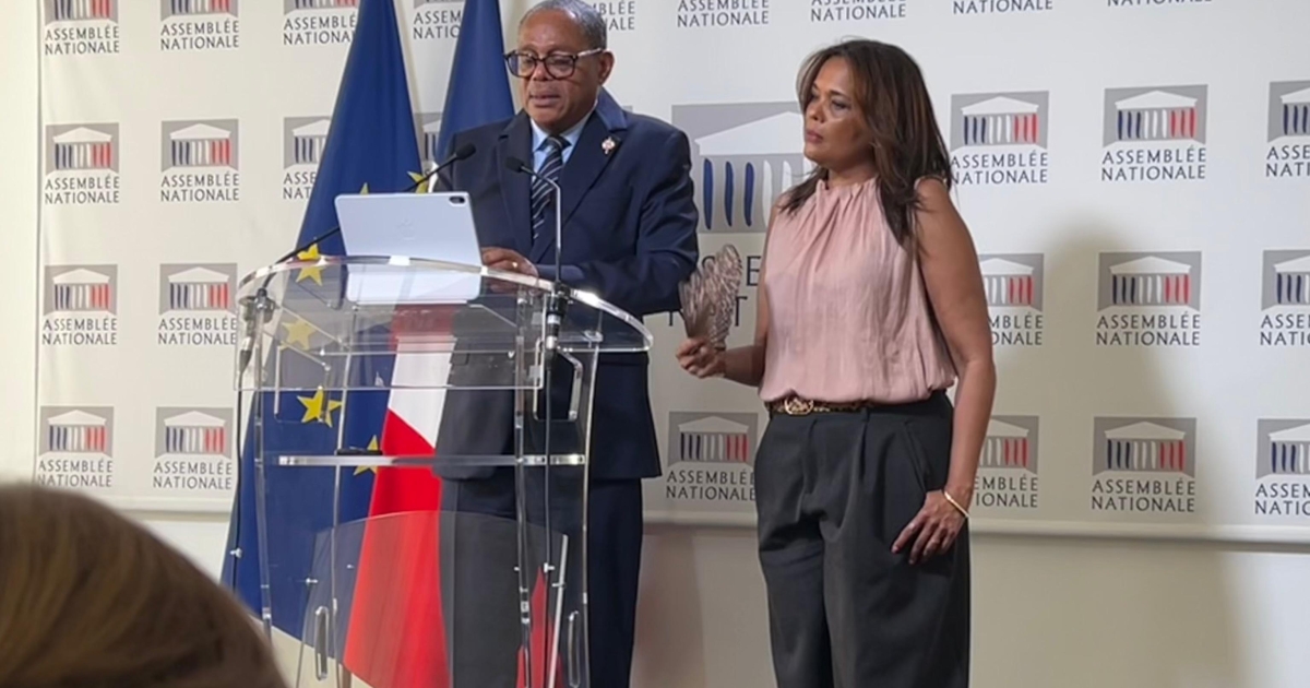     Une commission d'enquête sur l’inceste propose un observatoire pour chaque territoire ultramarin

