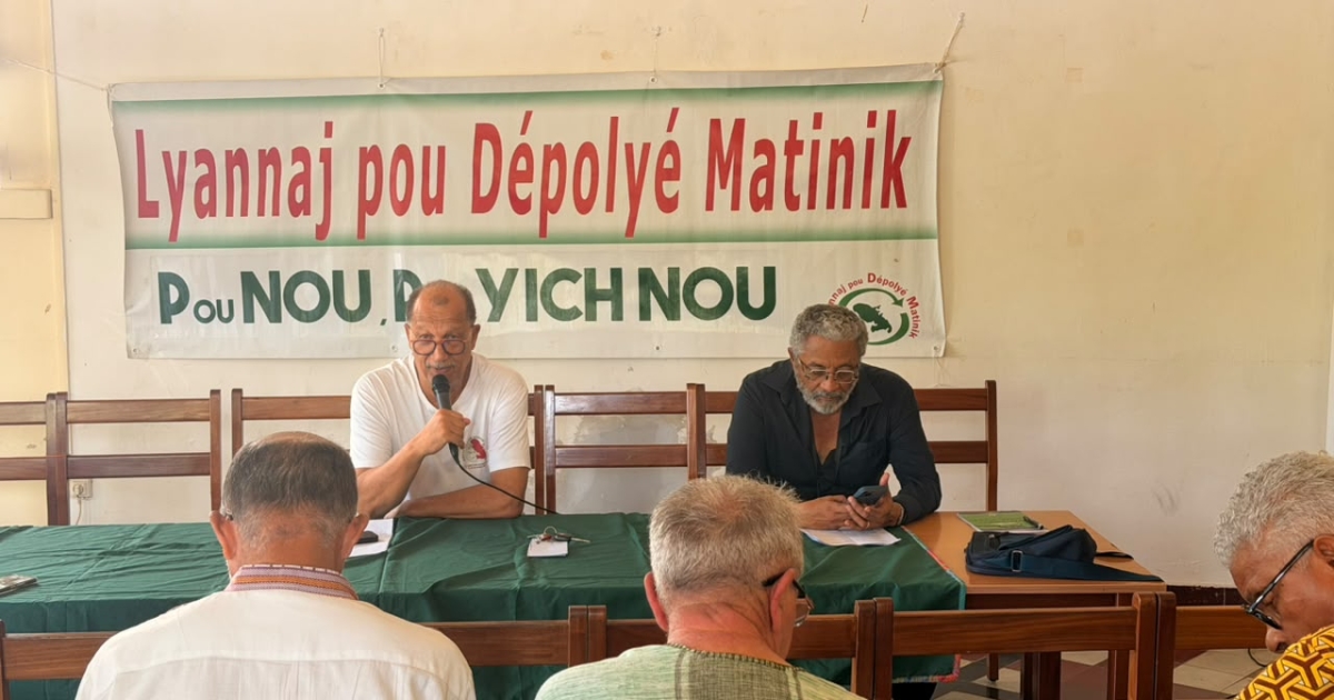     Non-lieu du chlordécone : les collectifs s'engagent en cassation et doivent réunir environ 80 000 euros

