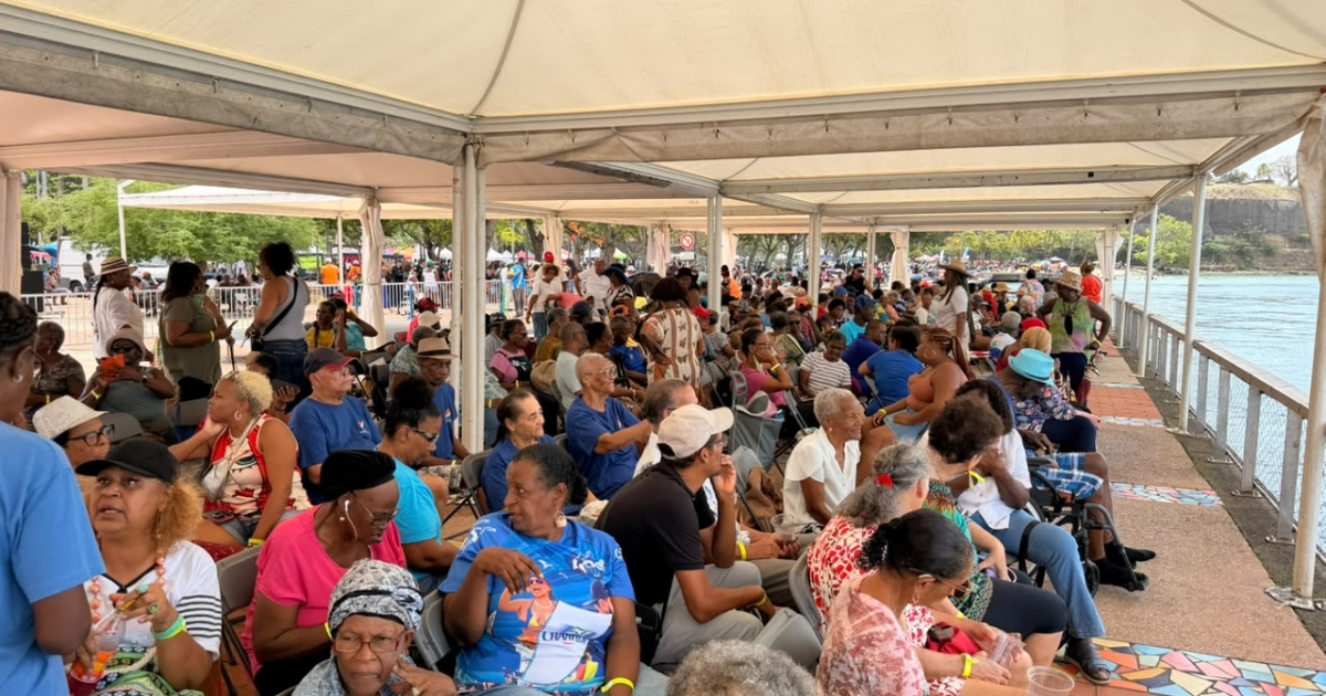     Tour des Yoles : le dispositif Handi Yole réunit 300 aînés et personnes en situation de handicap sur le Malecon

