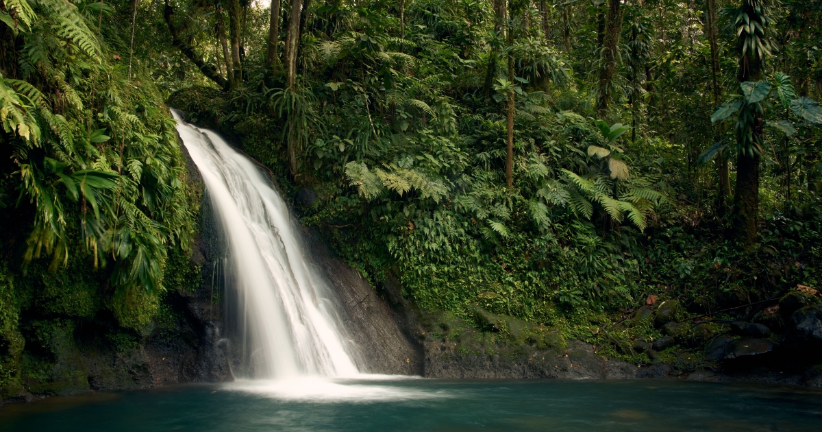     Cascade aux Écrevisses : parenthèse nature au cœur de Guadeloupe

