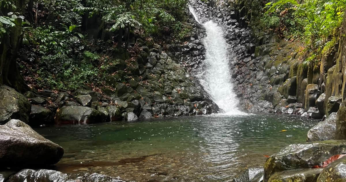     Cascade Paradis : une randonnée rafraîchissante à découvrir gratuitement en Guadeloupe

