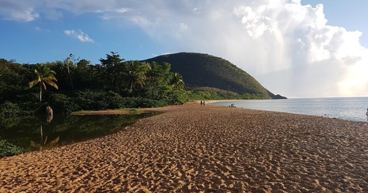     Plage de Grande Anse à Deshaies : une plage incontournable

