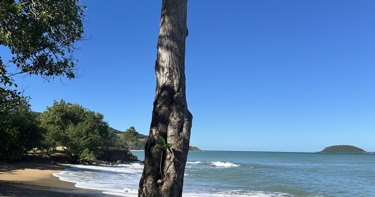     Anse des Îles à Sainte-Rose : la plage sauvage et gratuite de Guadeloupe

