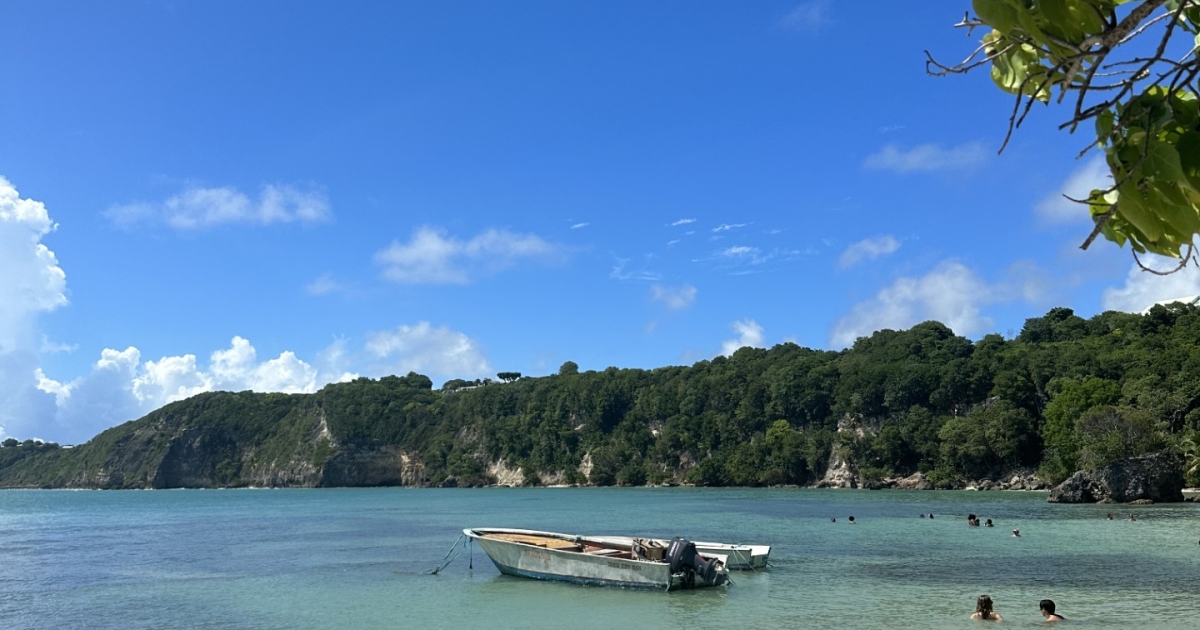     Plage de Petit-Havre : une crique paradisiaque à découvrir gratuitement en Guadeloupe

