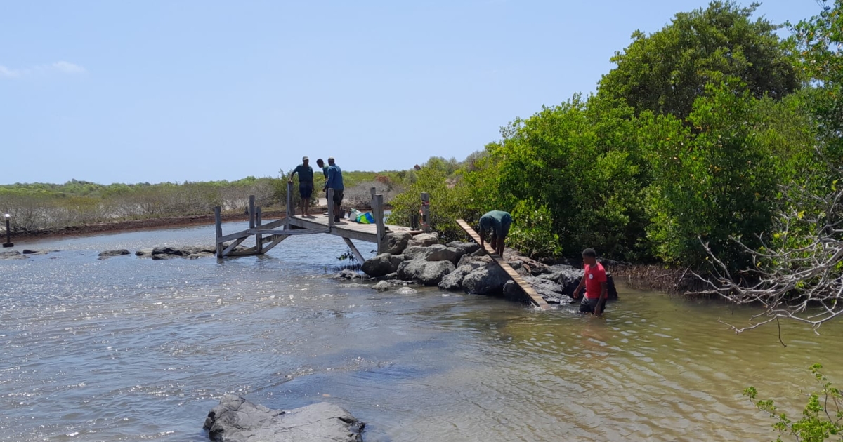     Le pont entre la savane des Pétrifications et l’Anse à Prunes démonté

