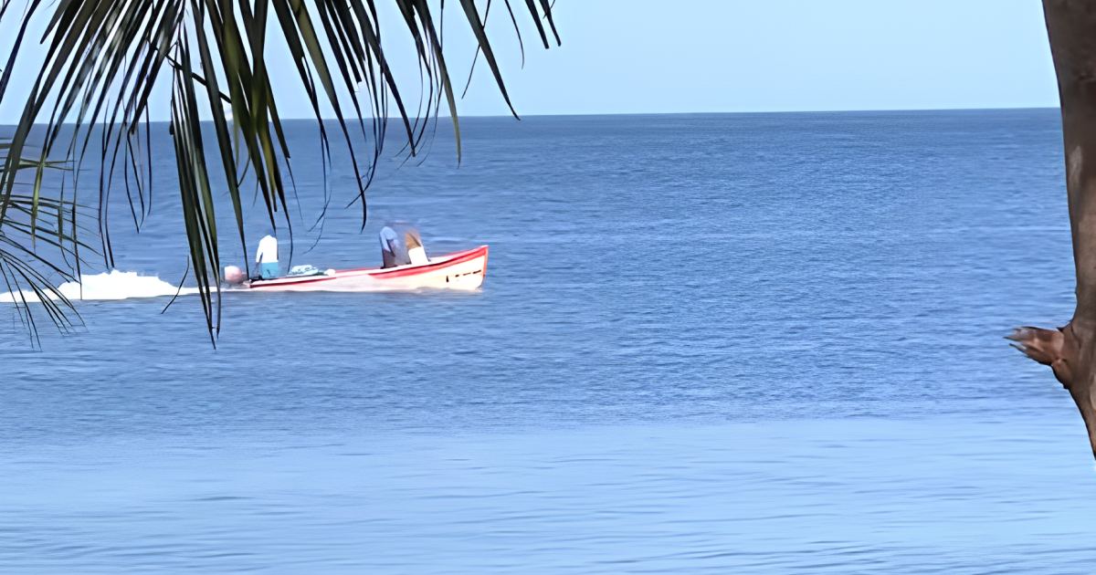    Retour sur une semaine de Vakans o Péyi ! 🌴✨

