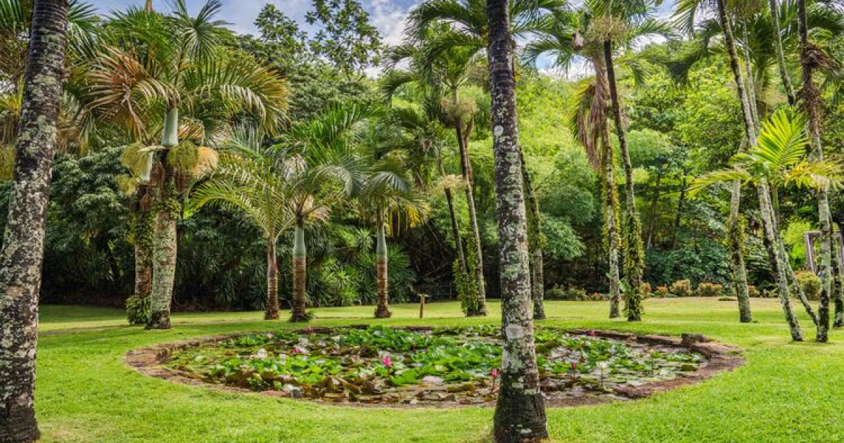     Zoo de Martinique – Habitation Latouche

