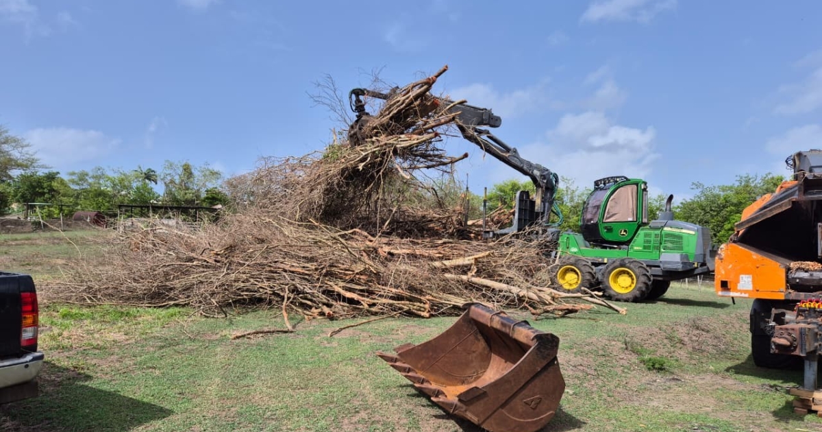     L’Agroforesterie au service des agriculteurs et de l'environnement


