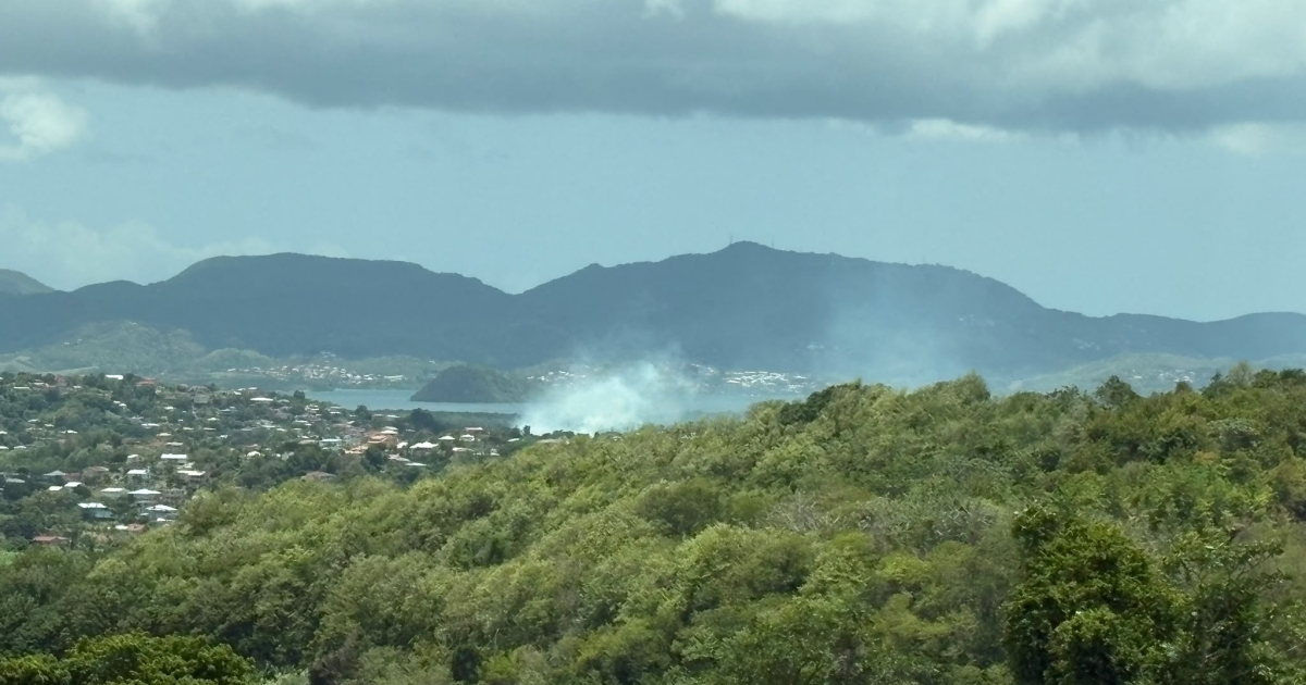     L'Assaupamar s'inquiète de l'incendie qui continue de ravager la mangrove de Génipa

