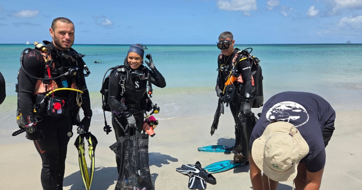     Nettoyage à l’Anse Moustique : plongeurs et bénévoles ratissent la mer après les fêtes des After Yole

