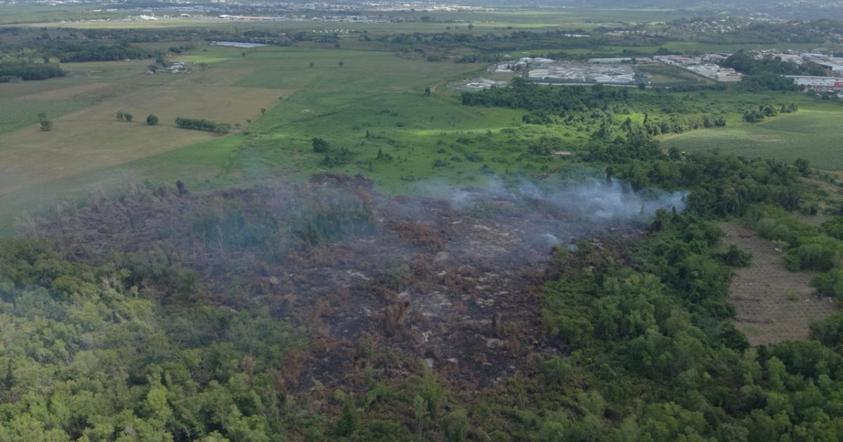     Incendie de Génipa : le feu est désormais fixé, des pompiers en phase de noyage ce vendredi

